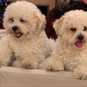 Meet your Posher, Deepa